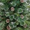 5ft. Pre-Lit Snowed Tipped Clermont Mixed Pine Artificial Christmas Tree, Clear Lights